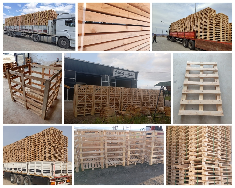 Sidmouth Wooden Pallets, Buy Wooden Pallets Wholesale